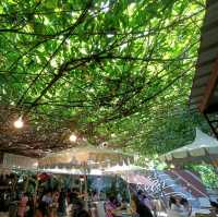 ร้านข้าว 
