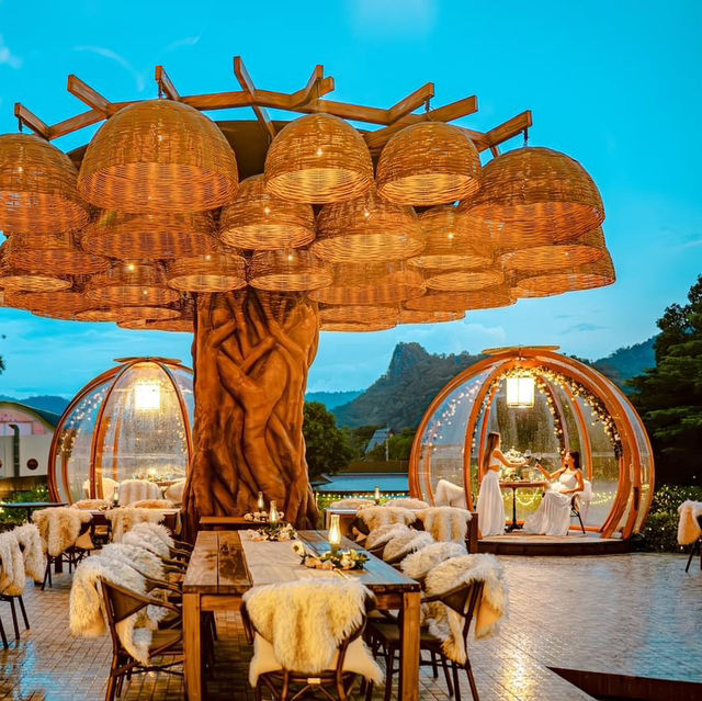 ดินเนอร์สุดโรแมนติคที่เขาใหญ่ ดินเนอร์สุดโรแมนติคที่เขาใหญ่