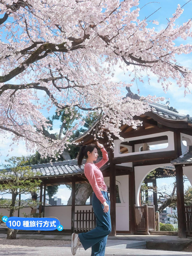 名古屋小眾🌸賞櫻景點-香積院