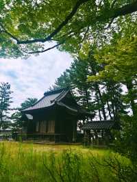 【日本東北】山居倉庫：江戶時代倉庫群和古老的櫸樹林