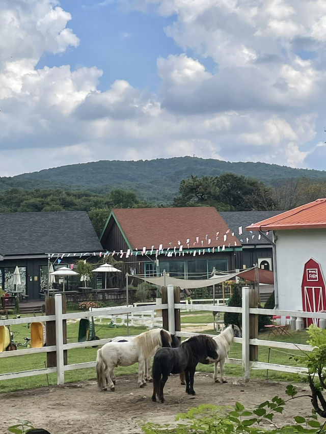 아이와 다녀오기 좋은 은아목장🐮
