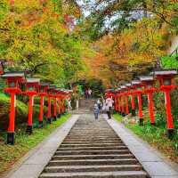 Hiking Mount Kurama: A Colorful Autumn Adventure