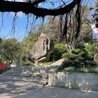 Nature’s Retreat in the City