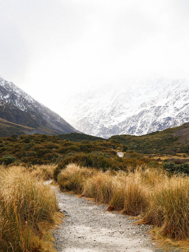 紐西蘭🇳🇿｜南島必走行山徑 庫克山（Mount Cook）