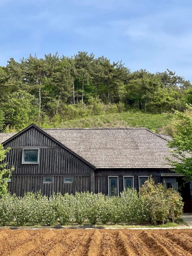 🏞️ 마음이 편안해지는 전원 풍경 농장체험 가을 여행 🍂