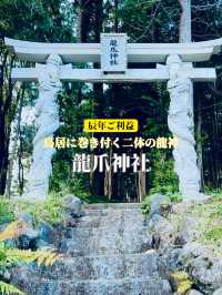 【穴場】鳥居に巻き付く二体の龍が超レアで大迫力❗️辰年を締めくくるご利益を授かれそうなパワスポ神社✨