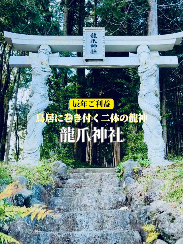 【穴場】鳥居に巻き付く二体の龍が超レアで大迫力❗️辰年を締めくくるご利益を授かれそうなパワスポ神社✨