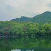 ～五桂山～難得的自然之美～
