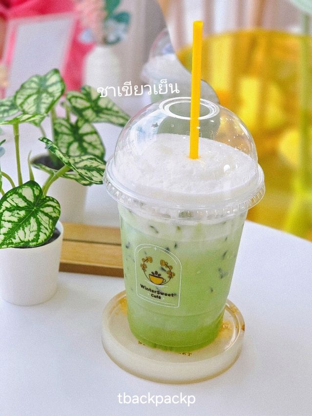 WinterSweet Café บางปู สุดคิ้ว น่ามา Check-in ❄️