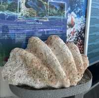 Pusat Hiasan Ikan, Port Dickson – A Hidden Gem for Marine Lovers