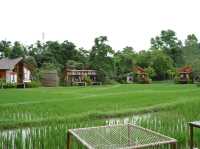 “บ้านนาก๋างโต้ง” คาเฟ่วิวทุ่งนาอันแสนอบอุ่น