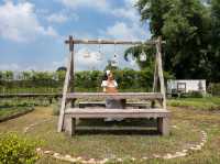 "บ้านสวนอบอวลรัก บ้านนา" ครบจบทั้ง ที่พัก คาเฟ่