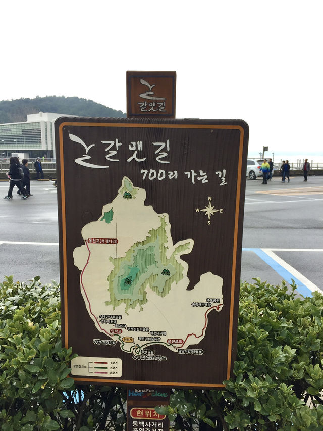 釜山APEC世峰樓-外型設計獨特，附近環境優美，景色怡人