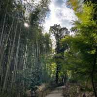 #竹林山松月院：在竹林深處尋找禪意的樂趣！🎍🧘‍♂️