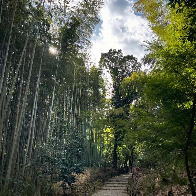 #竹林山松月院：在竹林深處尋找禪意的樂趣！🎍🧘‍♂️