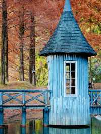 【人気の紅葉映えスポット】子供も思いっきり楽しめる公園