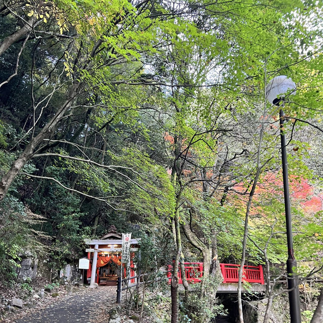 【愛知】豊田のパワースポット猿投温泉
