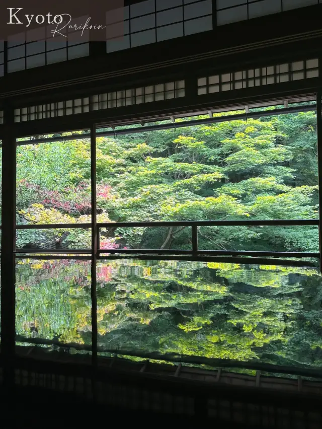 ˗ˏˋ 美到令人窒息的倒影 ˎˊ˗