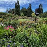 Vibrant Victorian Summer (2/2)