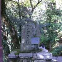 【石川】加賀の自然美を満喫する「こおろぎ橋」