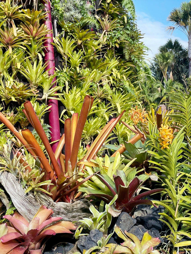 You won’t believe there are such lovely flower trails in Singapore