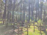 รับลมหนาว ที่สวนสนบ่อแก้ว 