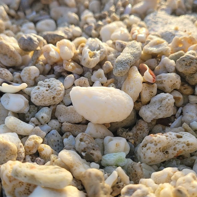 ［小琉球］是蛤板灣沙灘 🏖️也是「威尼斯海灘」🏝️