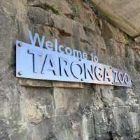 Sydney Romance: Adventures by the Harbour