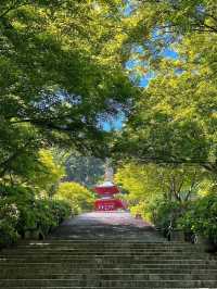 探索大阪勝尾寺：歷史悠久的靜謐聖地🏯🌸
