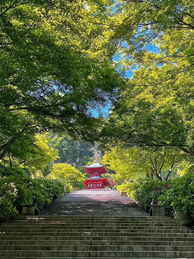探索大阪勝尾寺：歷史悠久的靜謐聖地🏯🌸