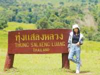 ทุ่งแสลงหลวง - จุดกางเต็นท์หนองแม่นา