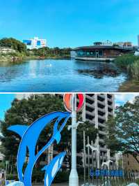 【 東京 品川 】本当は秘密にしたい東京の穴場水族館
