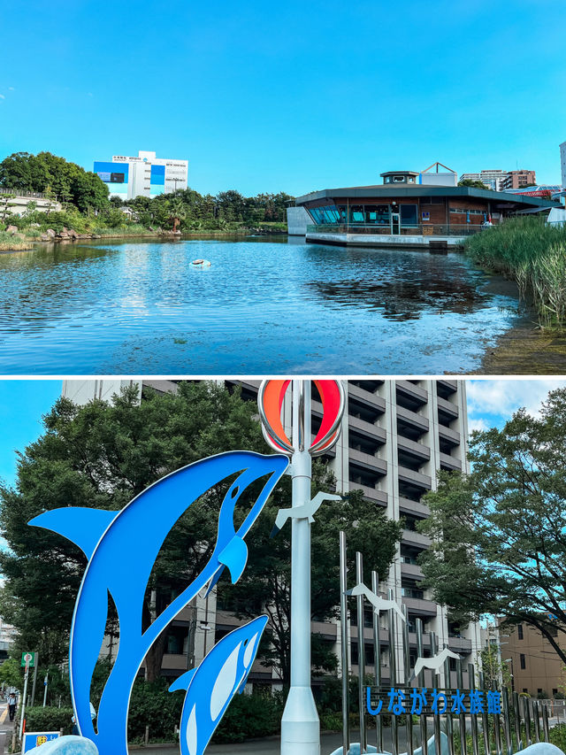 【 東京 品川 】本当は秘密にしたい東京の穴場水族館