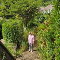 แจกพิกัดที่พัก วิวภูเขา ทะเลหมอก เขาสก