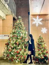 성수 크리스마스 포토존🎄❤
