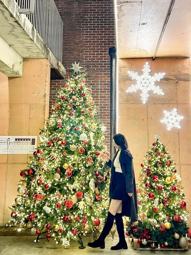 성수 크리스마스 포토존🎄❤