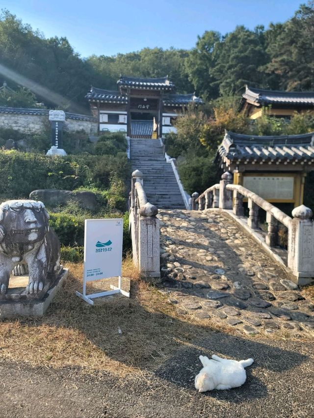 가을감성 가득한 고즈넉한 역대급 한옥카페🍂