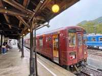 日本鳥取「若櫻鐵道」🚞
