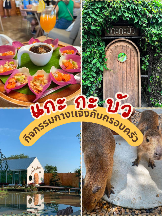 แกะกะ บัว คาเฟ่ที่มีกิจกรรมกลางเเจ้ง!
