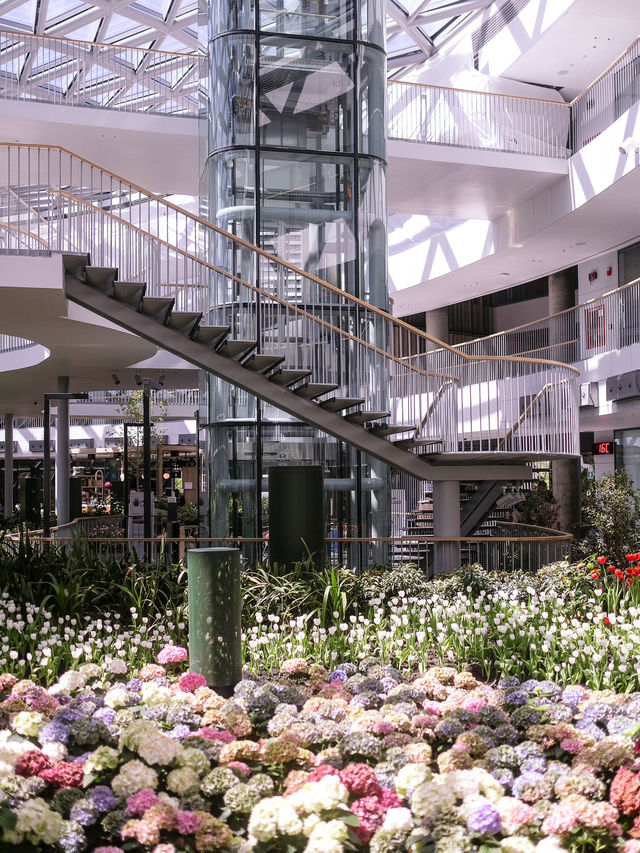 พิกัดสวนดอกไม้ติดแอร์สุดชิล Miracle of Natural🌷