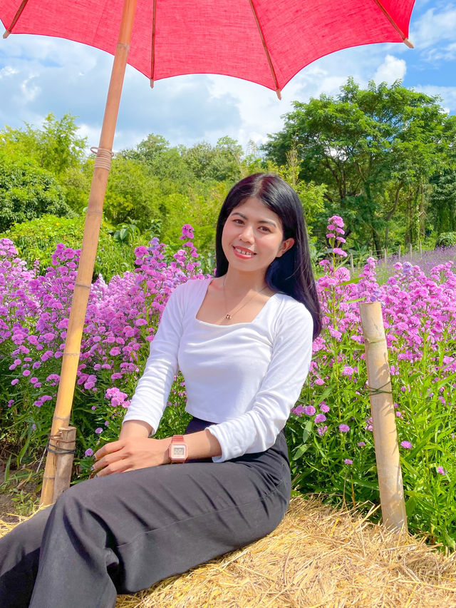 สวนดอกไม้ฤดูหนาวเด่นชัย