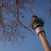 Iconic landmark in Auckland