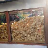 How I spent 1 day in Medan