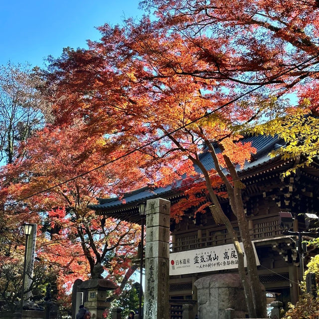 景點推薦：高尾山，秋季紅葉美景一覽無遺