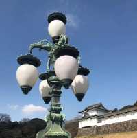 東京景點｜暢遊東京都心的綠洲—皇居外苑．千鳥之淵