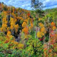 Great Smoky Mountains, USA