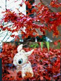 東京箱根🍁紅葉之旅🍁2天之行