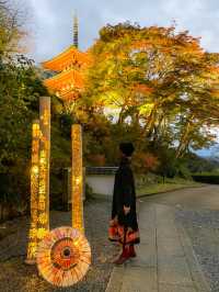 奈良観光🍁岡寺🍁
