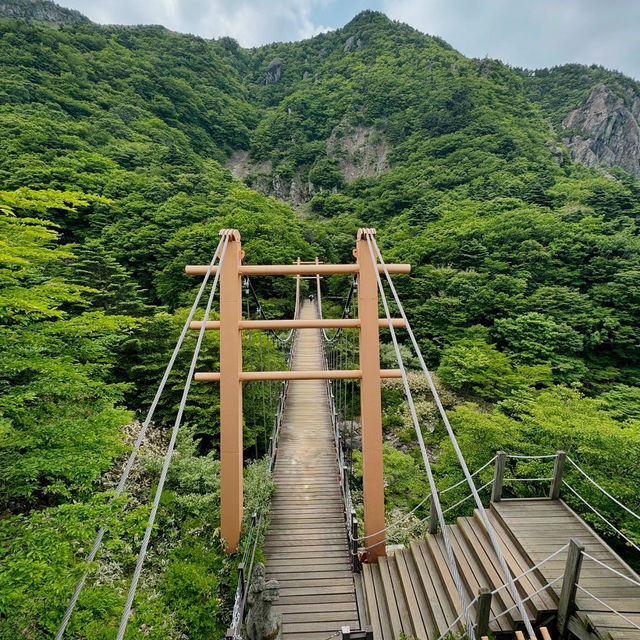 Exploring the Majestic Hallasan National Park