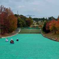 🇯🇵【愛媛県】桜井総合公園🛝！絶景を見ながら遊べる(^^)